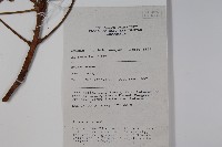 登錄號:S058793藏品圖，第2張