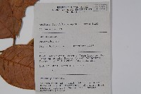 登錄號:S058796藏品圖，第2張