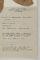 登錄號:S058800藏品圖，第2張