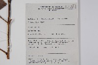 登錄號:S058802藏品圖，第2張