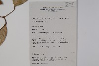 登錄號:S058806藏品圖，第2張