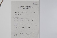 香花暗羅藏品圖，第2張