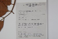 登錄號:S058809藏品圖，第2張