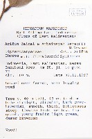 登錄號:S058810藏品圖，第2張