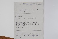 登錄號:S058833藏品圖，第2張