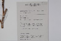 登錄號:S058835藏品圖，第2張