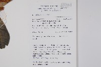 登錄號:S058845藏品圖，第2張