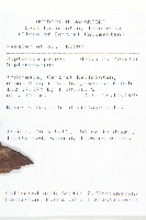 登錄號:S058848藏品圖，第2張