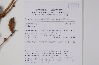 登錄號:S058851藏品圖，第2張