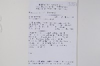 登錄號:S058860藏品圖，第2張