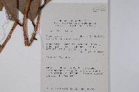 登錄號:S058864藏品圖，第2張