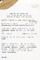 登錄號:S058871藏品圖，第2張