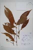 登錄號:S058875藏品圖，第1張