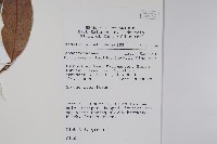 登錄號:S058880藏品圖，第2張