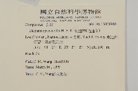 地膽草、毛蓮菜藏品圖，第2張