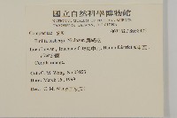 纓絨花藏品圖，第2張