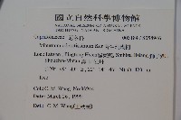 珊瑚樹藏品圖，第2張