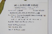 小錦蘭藏品圖，第2張