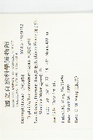 五蕊虎皮楠藏品圖，第2張