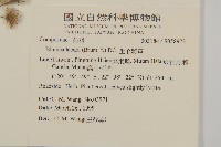 生毛將軍藏品圖，第2張