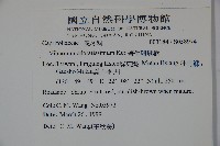 珊瑚樹藏品圖，第2張