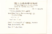 斑鳩菊藏品圖，第2張