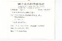 小棶木藏品圖，第2張