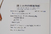 登錄號:S059001藏品圖，第2張