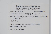 雁來紅、紅莧、老少年藏品圖，第2張