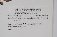 登錄號:S059014藏品圖，第2張