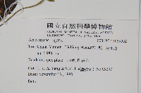 登錄號:S059032藏品圖，第2張