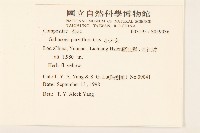 小米菊藏品圖，第2張