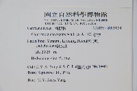 桔梗藏品圖，第2張