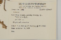 登錄號:S059057藏品圖，第2張