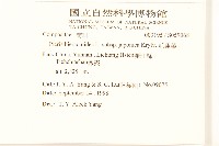 毛蓮菜藏品圖，第2張