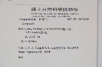 登錄號:S059069藏品圖，第2張