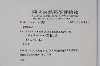 登錄號:S059081藏品圖，第2張