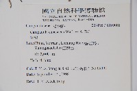 桔梗藏品圖，第2張