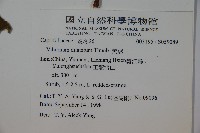 莢迷藏品圖，第2張