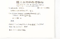 景天藏品圖，第2張