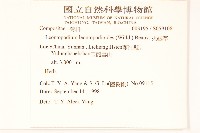 火絨草藏品圖，第2張