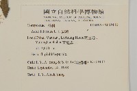 紫菀藏品圖，第2張