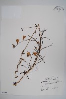 登錄號:S059112藏品圖，第1張