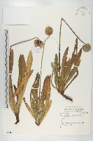 登錄號:S059120藏品圖，第1張