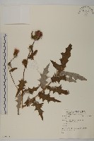 登錄號:S059123藏品圖，第1張