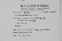 狗尾草藏品圖，第2張