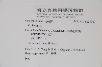 登錄號:S059163藏品圖，第2張