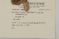 登錄號:S059175藏品圖，第2張