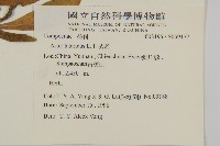 紫菀藏品圖，第2張
