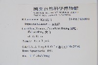 鳳仙花藏品圖，第2張